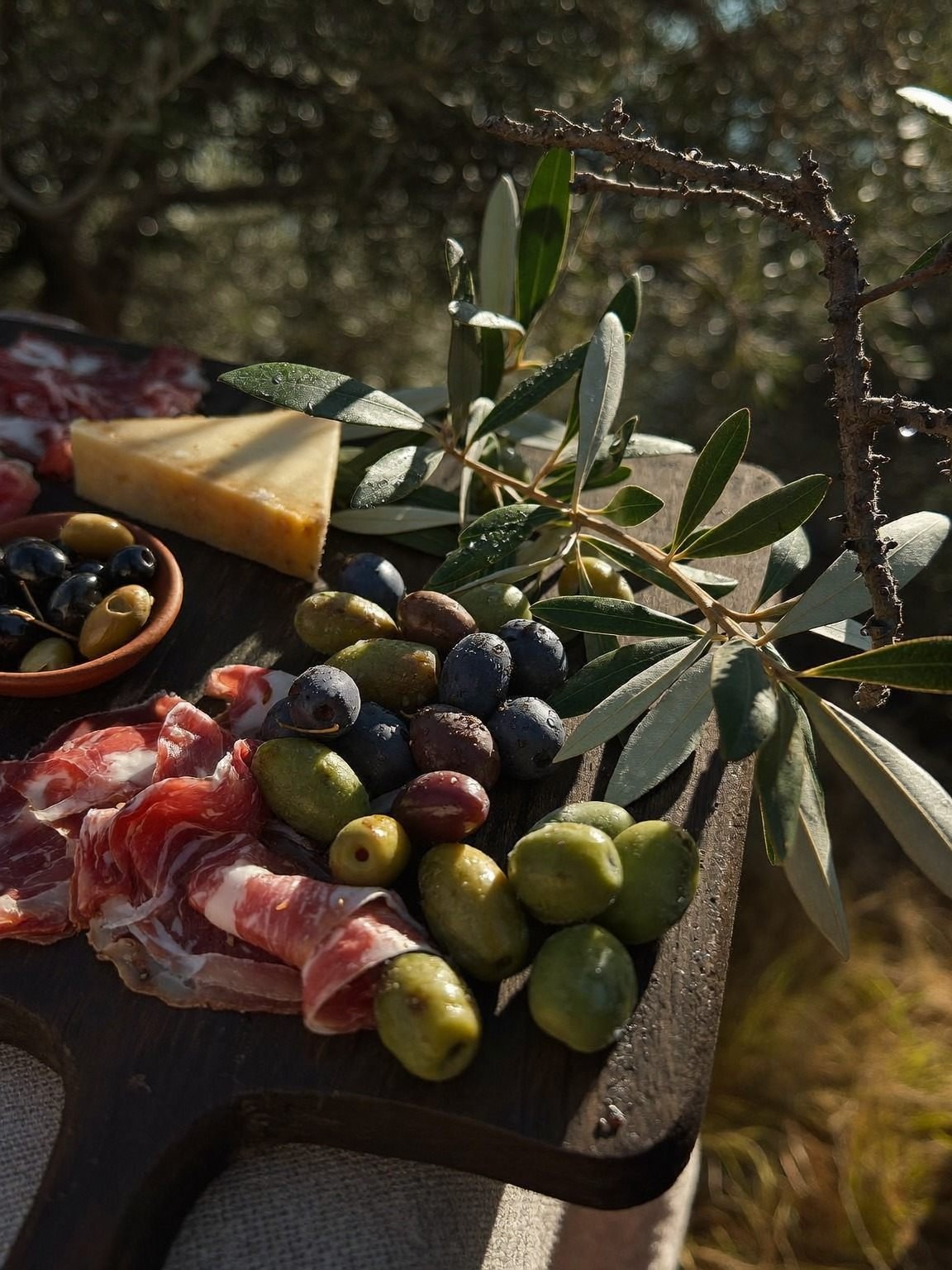 Antipasti-Brett mit Oliven, Schinken und Käse im Olivenhain